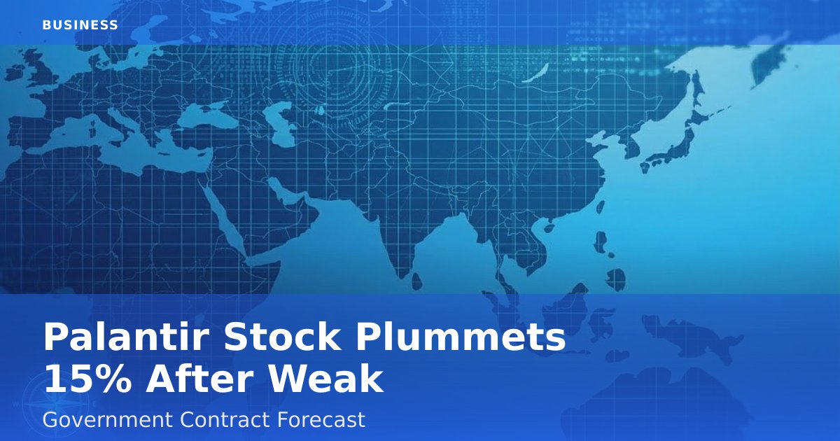 Palantir Stock Plummets 15% After Weak Government Contract Forecast