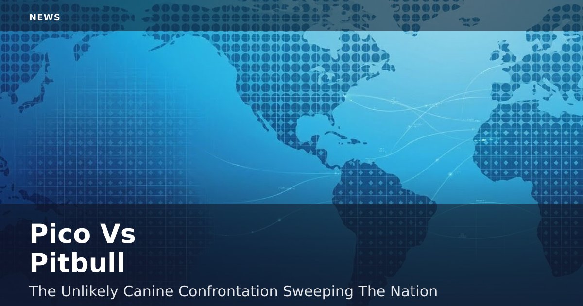 Pico Vs Pitbull: The Unlikely Canine Confrontation Sweeping The Nation